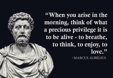 marcus-aurelius-quote-fridge-magnet-2_large