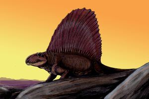 Dimetrodon8DB